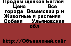 Продам щенков Биглей › Цена ­ 15 000 - Все города, Вяземский р-н Животные и растения » Собаки   . Ульяновская обл.